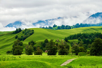 Forests on the Meadows cloudily in valley grassland scenic spot of Nalati, Xinjiang Uygur Autonomous Region, China.