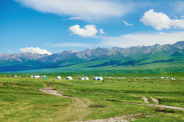 Fototapeta na wymiar The beautiful scenic of high mountain meadow in Nalati scenic spot, Xinjiang Uygur Autonomous Region, China.