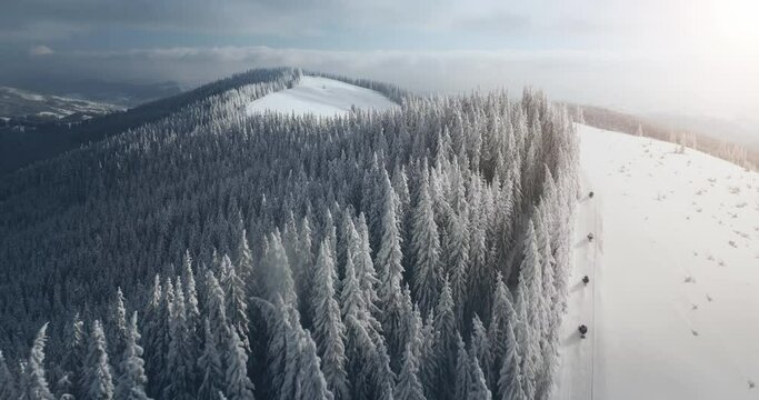 Aerial snow pine tree forest slope, winter holidays in Alps mountains, Europe. People relax on highland resort, ride to the top on snowmobiles. Wild nature landscape. Tourism travel concept. Tracking.