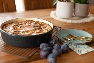 close-up view of delicious sweet fruit pies with plumes 