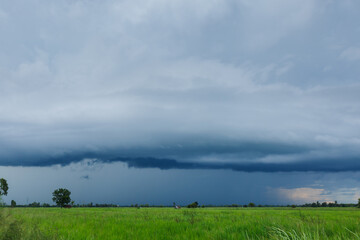 Stormy cloud over the rice green field