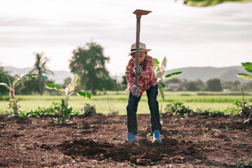 Farmer boy holding hoe and dig soil for planting tree in organic garden and farmland in rural and blue sky background