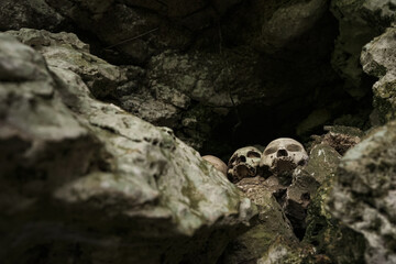 Skulls on the stone