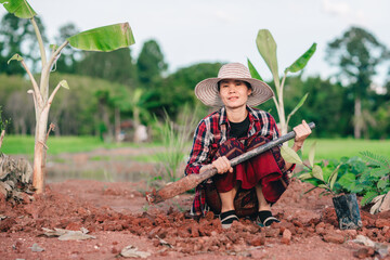 Women gardener dig soil and plating the tree in organic garden of farmland agriculture