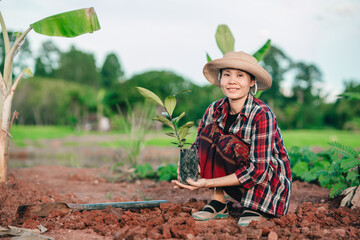 Women gardener dig soil and plating the tree in organic garden of farmland agriculture