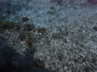 インドネシア　カナワ島の珊瑚と魚