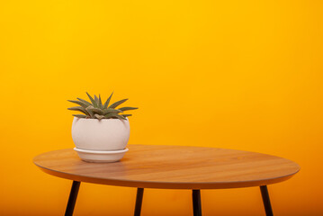 wooden table on a yellow background with a green flower in a white pot with space for your advertisement or text isolated concept