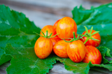 many striped tomatoes lie on a wooden background