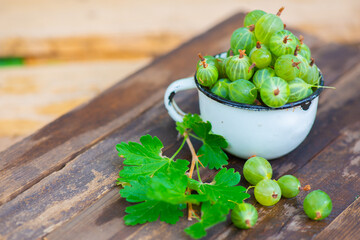 gooseberry berries in a white mug lie
