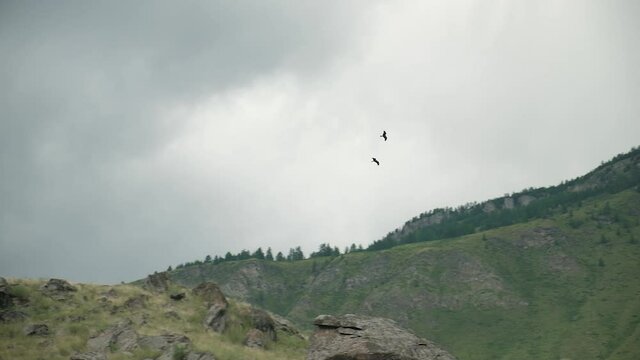 Two birds of prey fly over the mountains. The sky is cloudy