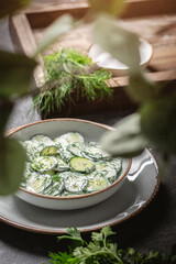 Fresh cucumber and greek yogurt summer salad