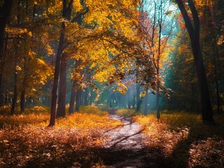 Obraz premium Sunny morning in the autumn forest. Yellow leaves on the trees in the woods. The sun's rays shine through the branches of the trees. 
