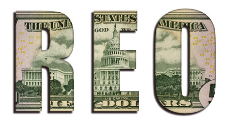 REO Real Estate Owned Abbreviation Word 50 US Real Dollar Bill Banknote Money Texture on White Background