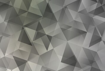 Obraz premium Light Gray vector polygon abstract layout.