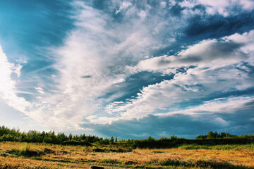 Obraz premium field and blue sky