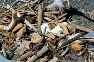 garbage on the seashore
