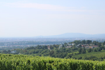 Obraz premium most beautiful view on the vienna cityscape