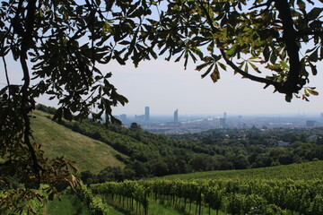 most beautiful view on the vienna cityscape