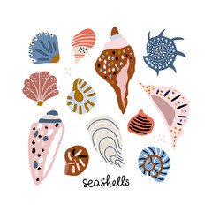 Creative seashells isolated on white. Marine premed composition. Great for card, poster, apparel. Vector illustration