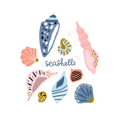 Collection of hand drawn seashells. Ready marine composition isolated on white. Vector illustration