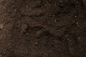 Black land for plant background. Top view.