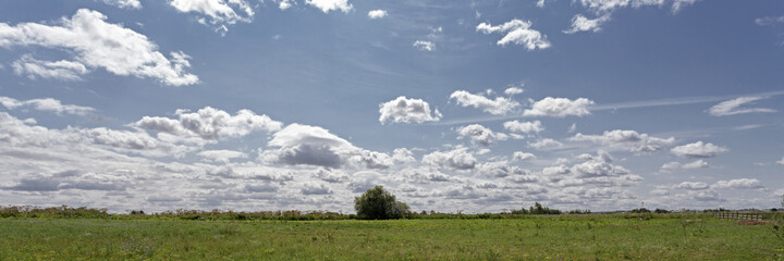 Fototapeta na wymiar Blue sky with white fluffy clouds over green field