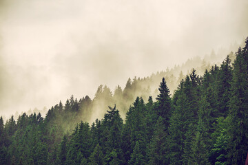 Misty mountain landscape