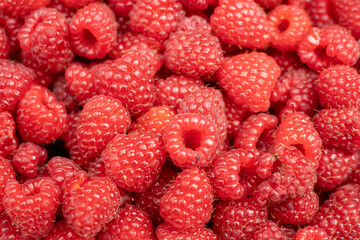 Himbeeren.