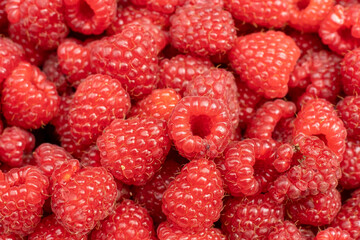 Himbeeren.