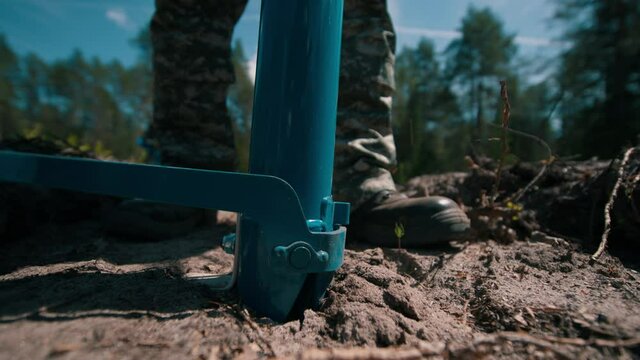 Planting young pine trees. Growing forests, planting forests in forestry. Planting a forest using a special device. High quality 4k footage