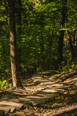 Obraz premium Wooden stairs for walk in forest. Gauja National park near Sigulda in Latvia. Beautiful nature.