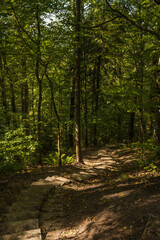 Wooden stairs for walk in forest. Gauja National park near Sigulda in Latvia. Beautiful nature.