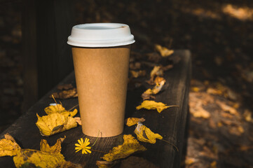 Small cardboard blank takeaway coffee cup on bench in autumn forest. Fallen leaves. Close-up. Hot drink.