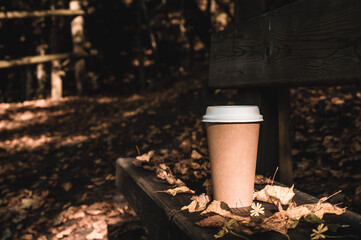 Small cardboard blank takeaway coffee cup on bench in autumn forest. Fallen leaves. Close-up. Hot drink.