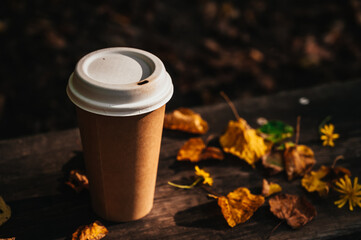 Small cardboard blank takeaway coffee cup on bench in autumn park. Fallen leaves. Close-up. Hot drink.