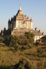 Vertical shot of a beautiful Buddhist temple surrounded by trees in Bagan, Myanmar - obrazy, fototapety, plakaty
