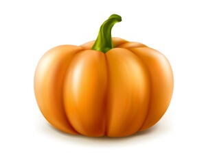 3d realistic vector orange pumpkin isolated on white background.