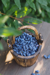 Honeysuckle berries in a wooden bucket
