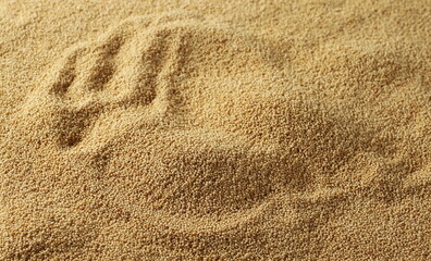Amaranth seeds pile background and texture