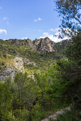Paysage autour du sentier de randonnée des Fenestrettes à Saint-Guilhem-le-Désert (Occitanie, France)