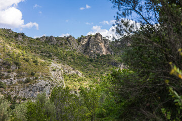Fototapeta premium Paysage autour du sentier de randonnée des Fenestrettes à Saint-Guilhem-le-Désert (Occitanie, France)
