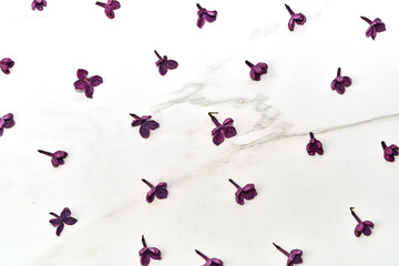 Lilac flowers pattern on pink background