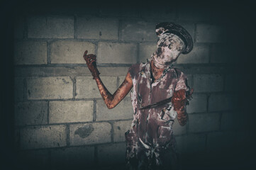 Zombie woman,horror shot the scary