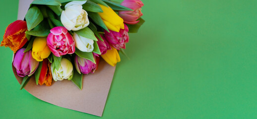 Multicolored tulips are wrapped in craft paper. Place for your text. Bouquet of tulips. Flower delivery. Green background . Tulip copy space