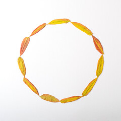 Autumn leaves arranged in a circle frame. Copy space for different purposes. Autumn natural composition on a white background