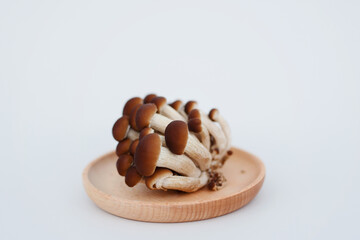 Honey mushrooms on a white background, young and old