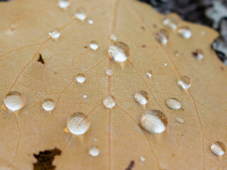 water drops on the sand