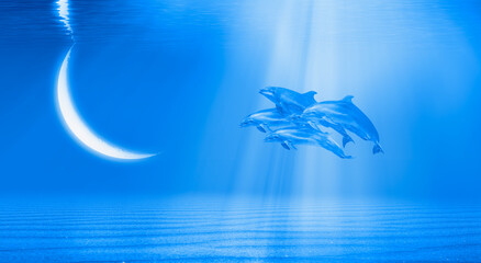 Crescent moon sinking over the sea - Group of dolphins swimming underwater in the blue tropical sea