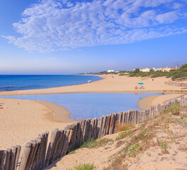 Typical sandy beach with dunes in Puglia, Italy: the beach of Chidro near the town of San Pietro in...