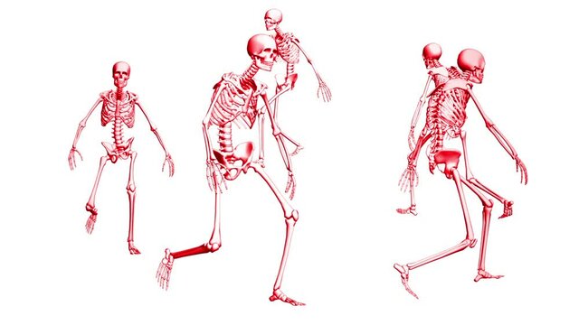 Skeleton marching in a circle. Animation footage. 3D animation of skeletons.